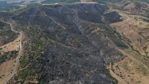 haber-gorseli-1786363918541